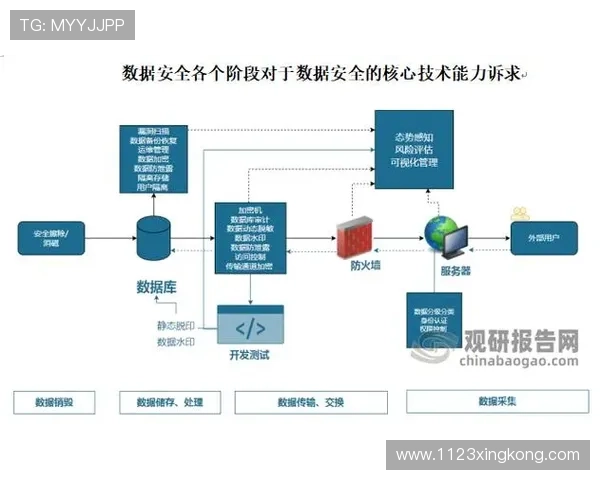 db体育官网的安全性分析与用户隐私保护